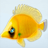 golden whale fish symbol