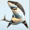 golden whale shark symbol
