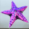 golden whale starfish symbol