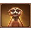 goldhorn wild herd meerkat symbol