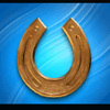 good luck 40 lines horshoe magnet symbol