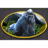 gorilla chief 2 gorilla symbol