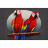 gorilla chief 2 parrots symbol