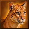 grand buffalo hold and win lion symbol