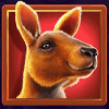 grand koala hold n link kangaroo symbol