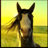 great golden buffalo horse symbol
