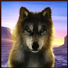 great golden buffalo wolf symbol