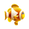 great reef fish symbol