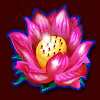 great stars flower2 symbol