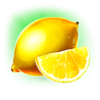 green slot lemon symbol