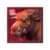 grizzly stampede moose symbol