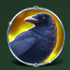 guardians of valhalla crow symbol