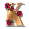 guns n roses powerpoints king symbol