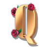 guns n roses powerpoints queen symbol