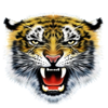 hail the emperor tiger symbol