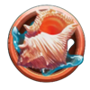 hawaii vacay shell symbol