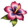 hawaiian waves flower symbol