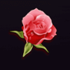 hearts of venice rose symbol