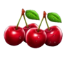 hell coins cherries symbol