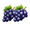 hell coins grapes symbol