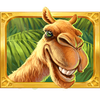 hidden camel symbol