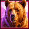 himalayan wild bear symbol
