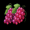 hit coins hold and spin grape symbol