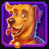 hit the gold dog symbol