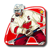 hockey league wild match player3 symbol