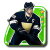 hockey league wild match player symbol