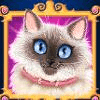 hollywood pets cat symbol