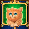 hollywood pets kitten symbol
