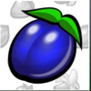 horn of plenty blueberry symbol