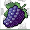 horn of plenty grapes symbol