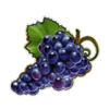 hot diamonds 100 grape symbol