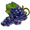 hot diamonds 40 grape symbol