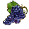 hot diamonds 5 grapes symbol
