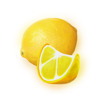 hot fruits 20 lemon symbol