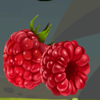 hot fruits raspberry symbol