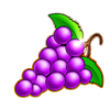 hot slot 777 hold the jackpot grapes symbol