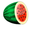 hot spin melon symbol