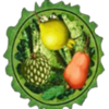 hot volcano fruit symbol