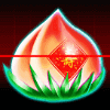 hoyeah monkey garlic symbol