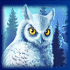 icy wilds owl symbol