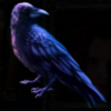 immortal blood buy bonus symbol 6