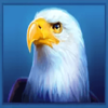 immortal ways buffalo eagle symbol