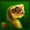 immortal ways buffalo snake symbol