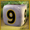 imperial dice 9 symbol