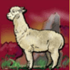 inca gold ii llama symbol