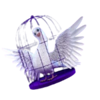 inside the hat bird symbol